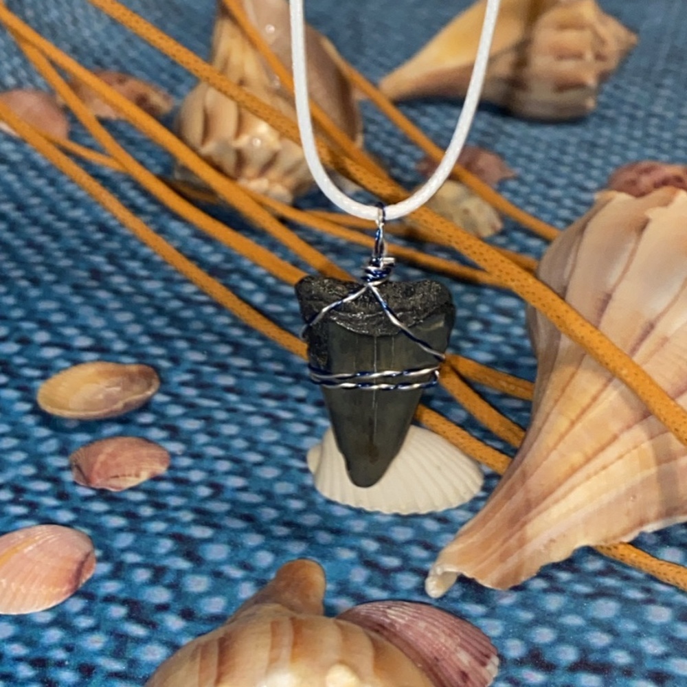 Shark Tooth Necklace